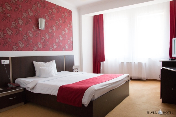 Hotel Silver